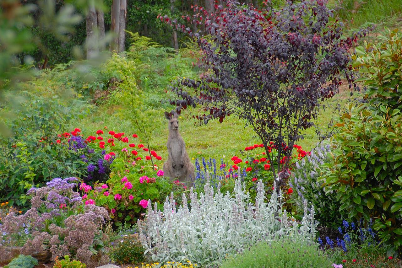 Skyview Villa Kangaroo Valley Dış mekan fotoğraf