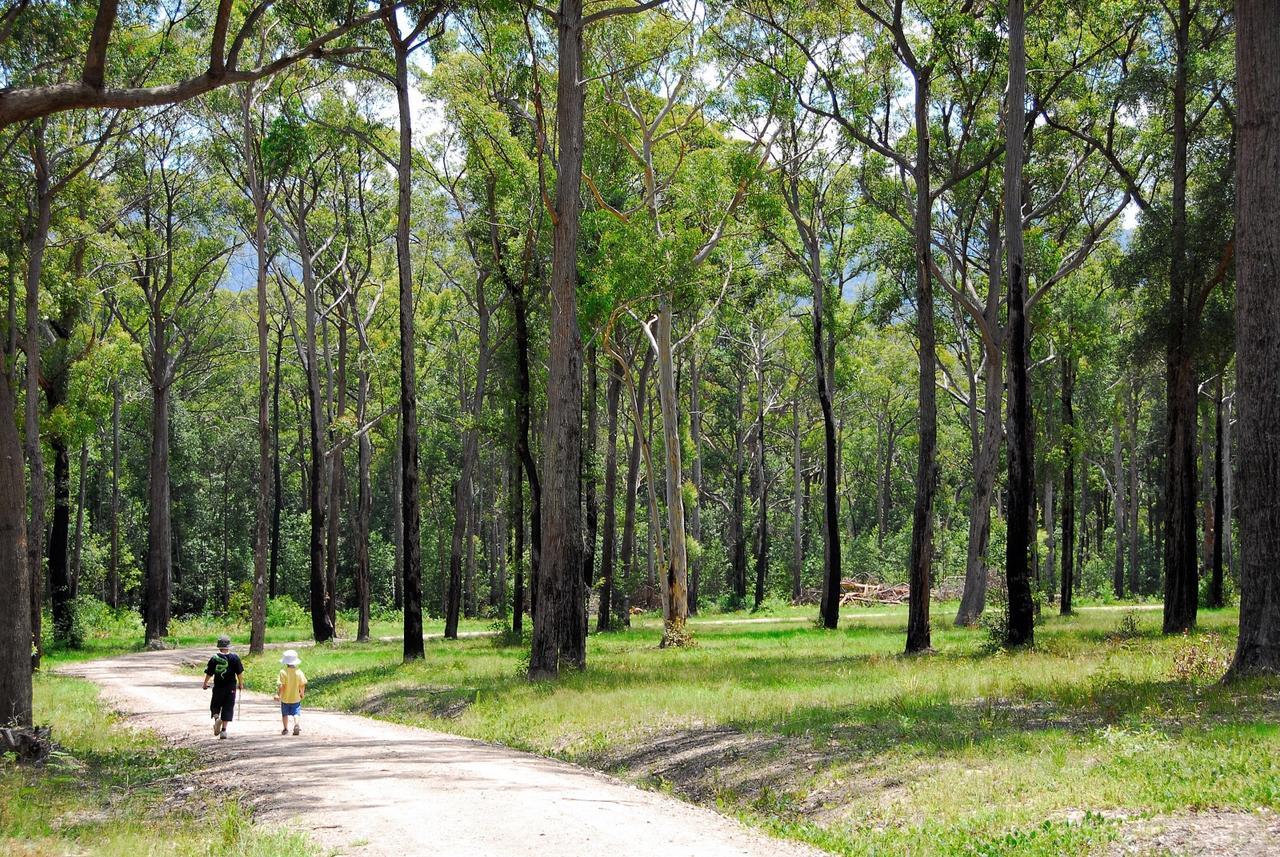 Skyview Villa Kangaroo Valley Dış mekan fotoğraf